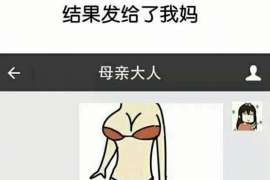 临港调查反馈